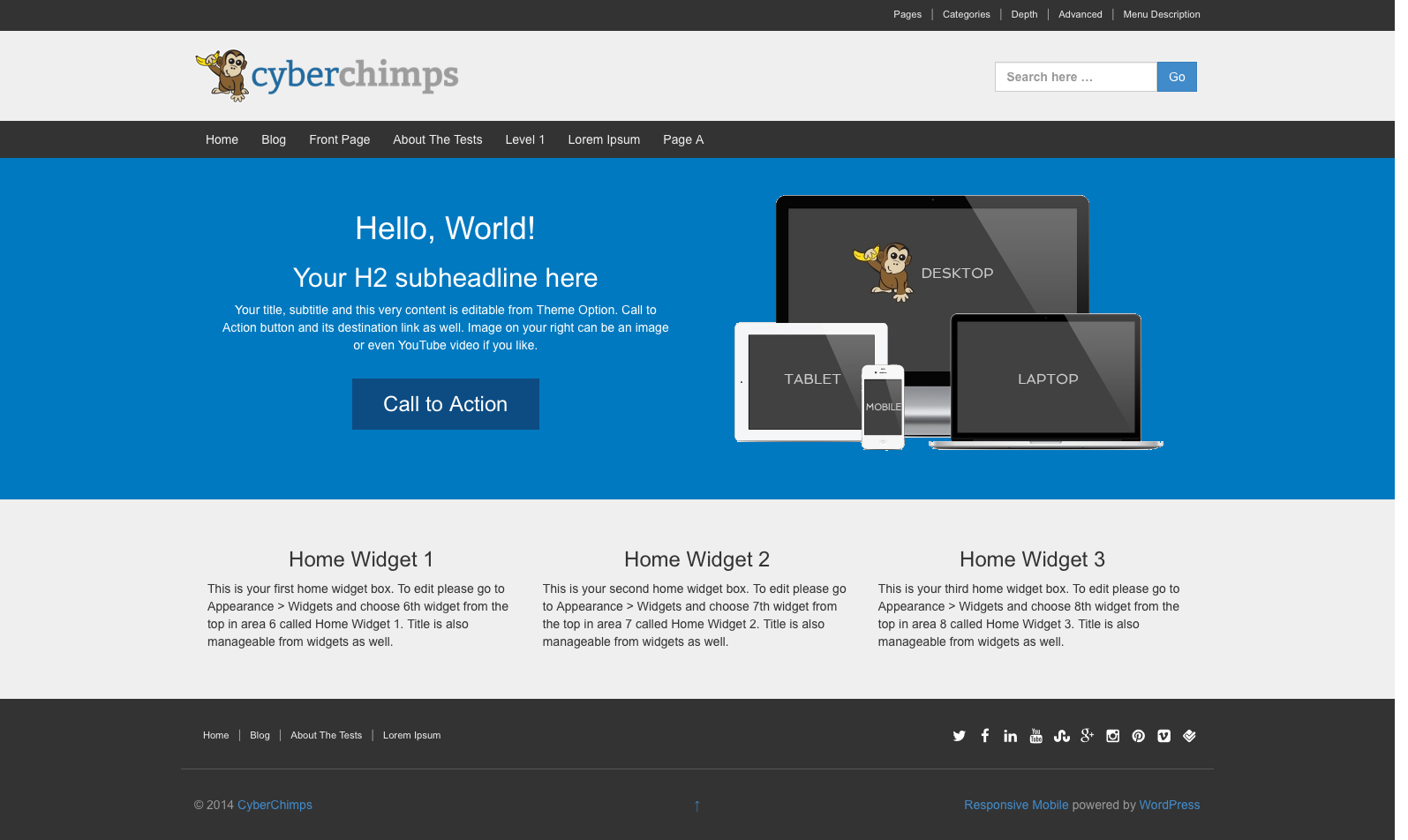 How to Choose an Effective WordPress Theme