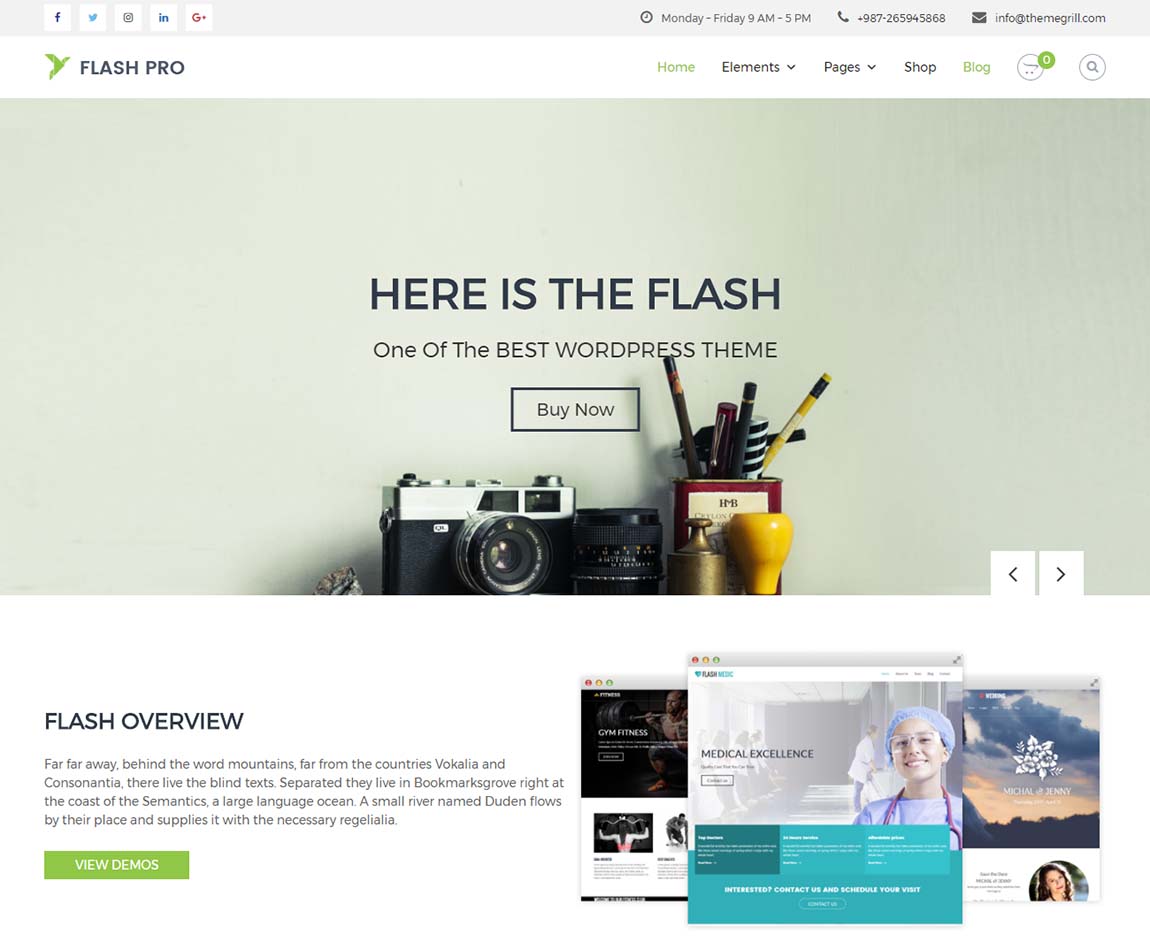 Best premium WordPress issues of 2018