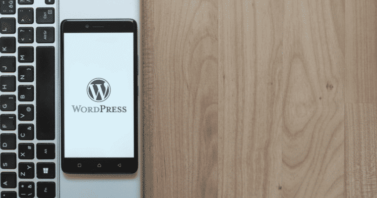 How To Use PLR WordPress Themes