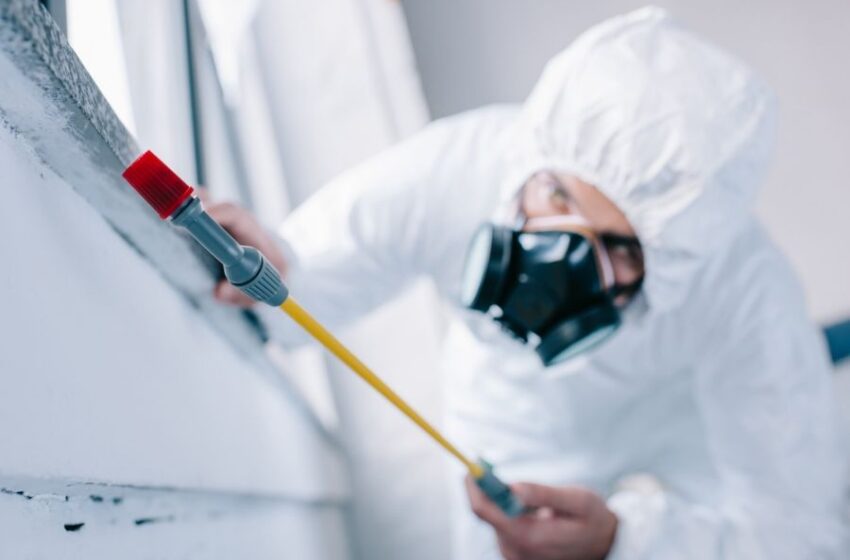 Advice On How To Control Pests 1
