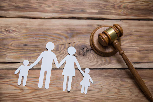 Child Custody Laws - Knowledge is Power 3