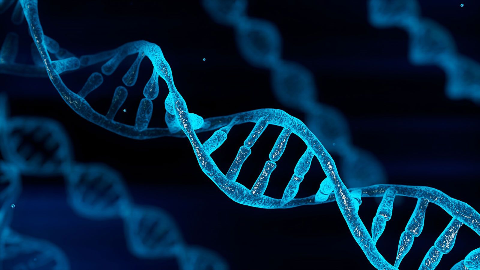 Templates Still Accomplishes DNA Repair 11